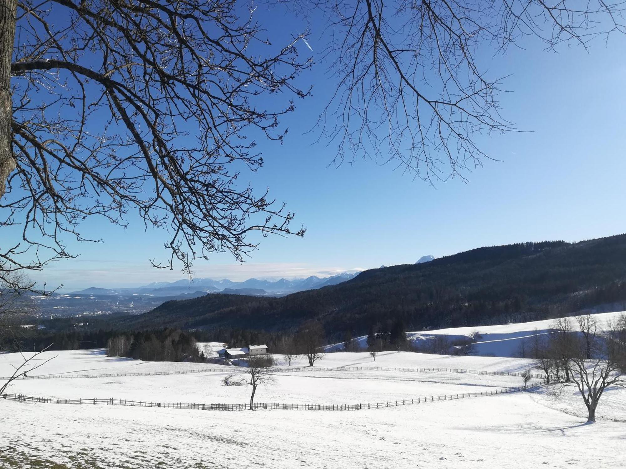 Casableiberg - Garten Apartment - Naturpark Dobratsch Bad Bleiberg Exterior photo